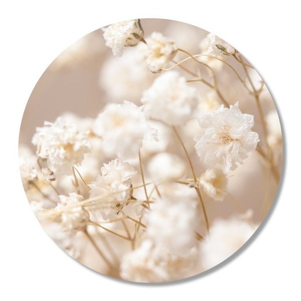 Wandcirkel 30 cm - Witte bloem