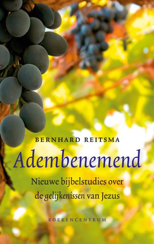 Bernhard Reitsma - Adembenemend